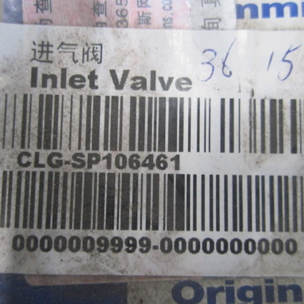 SP106461	4955239	Intake valve