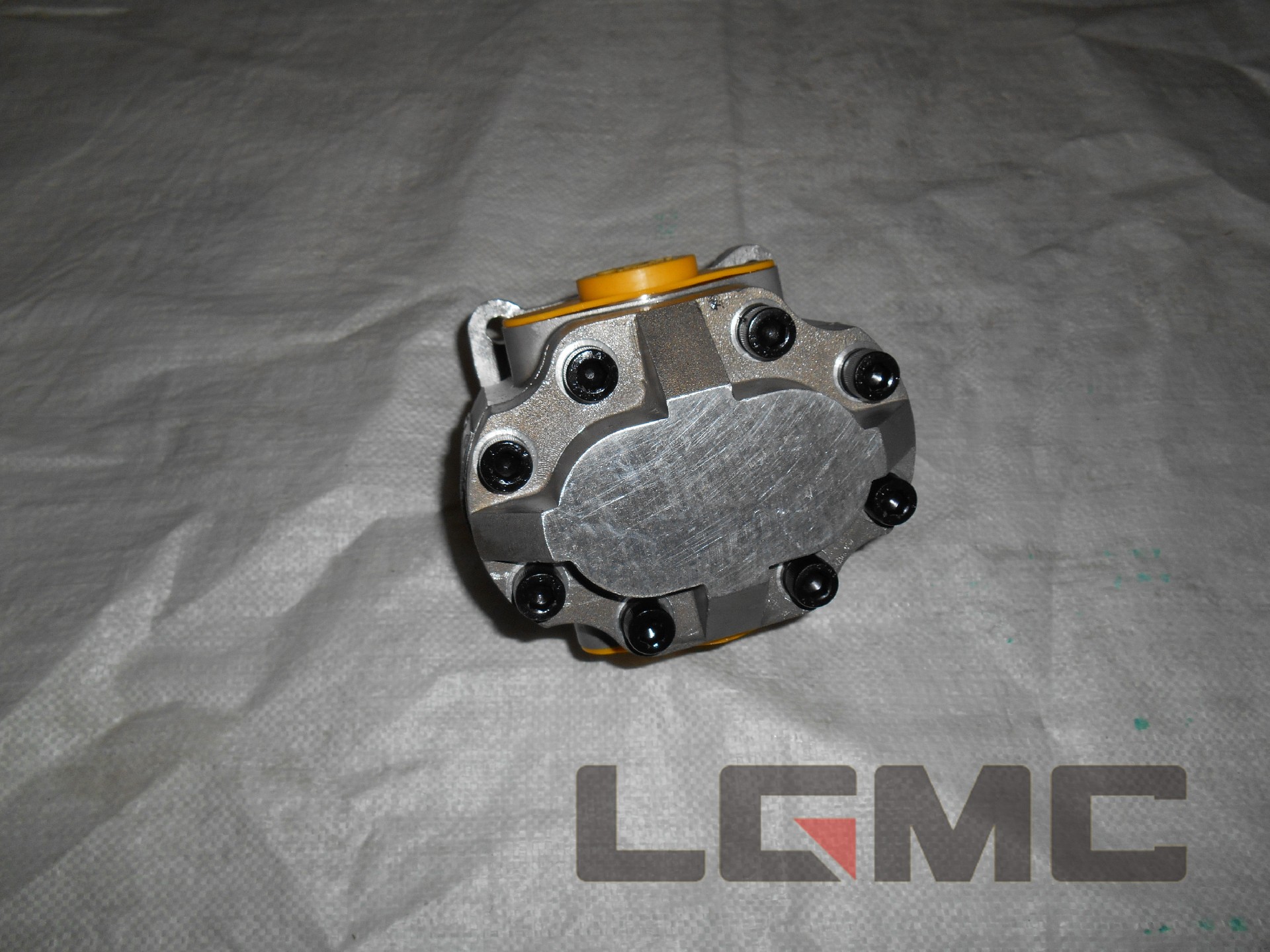 16Y-75-24000 Variable speed oil pump 5kg