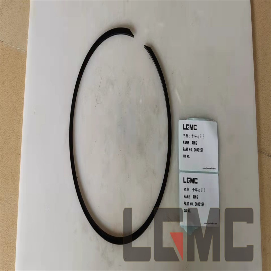 00A0259 Snap ring