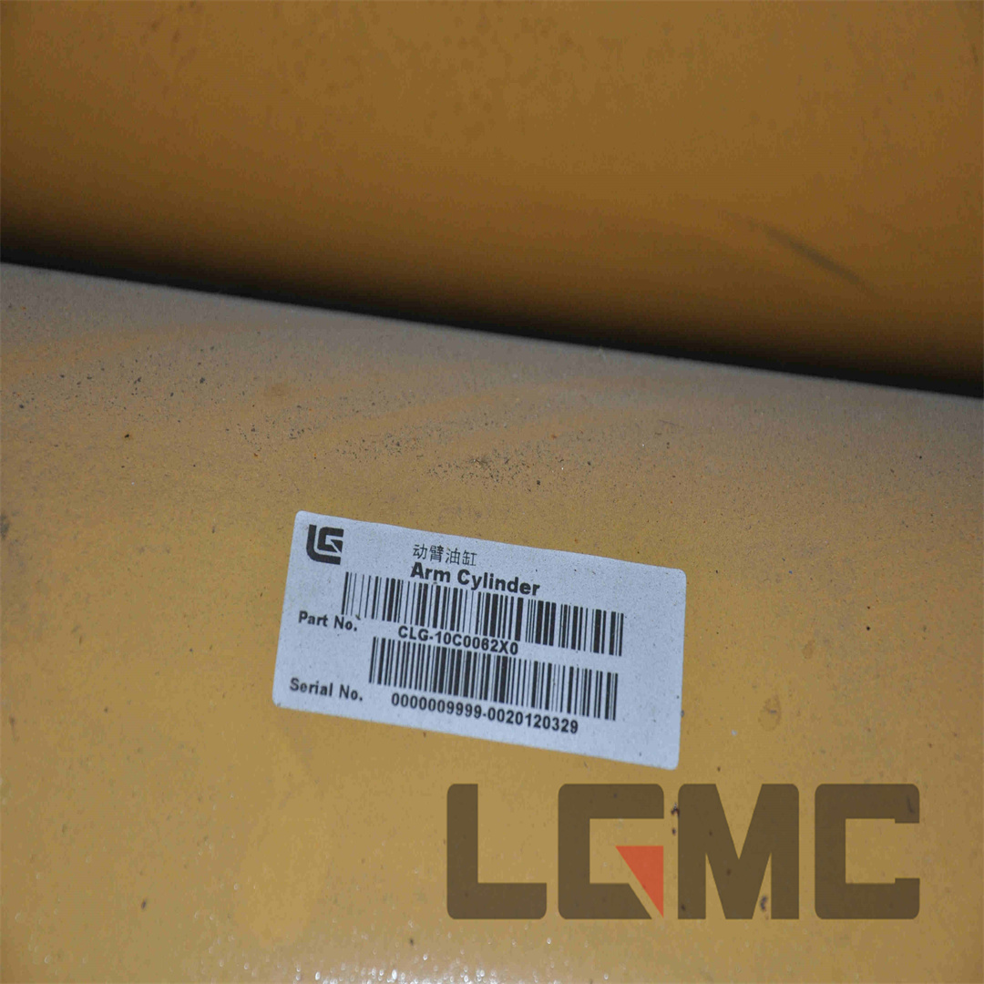 10C0062X0 Boom cylinder