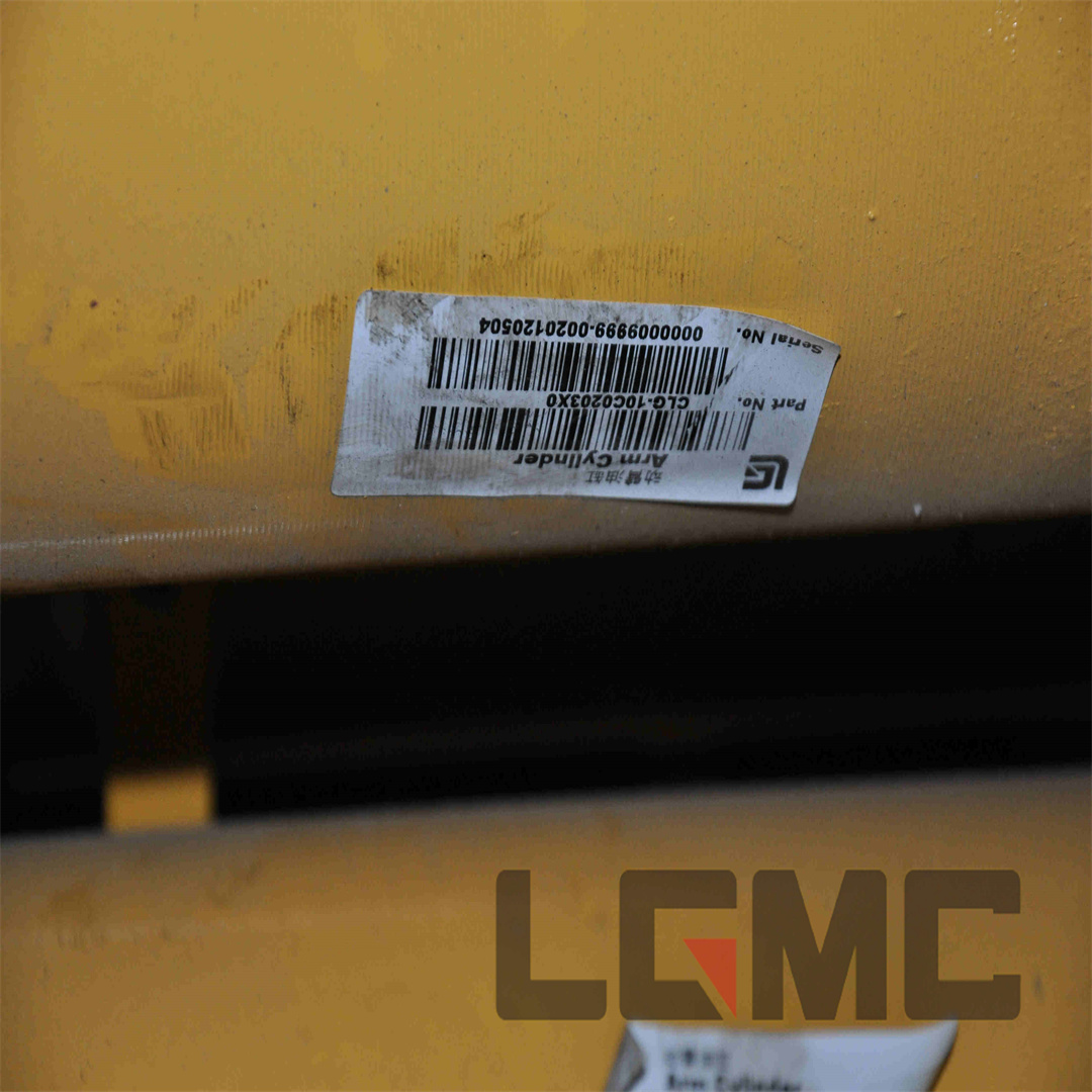10C0203X0 Boom cylinder