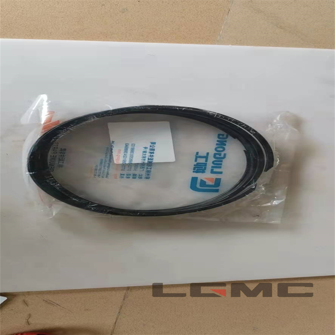 13B0147 Sealing ring GB9877.2-88; W170×200×15 SEAL