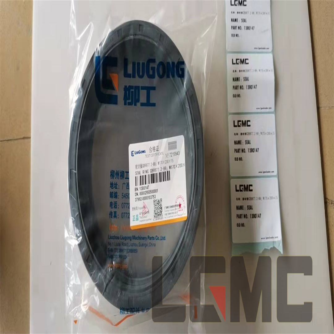 13B0147 Sealing ring GB9877.2-88; W170×200×15 SEAL
