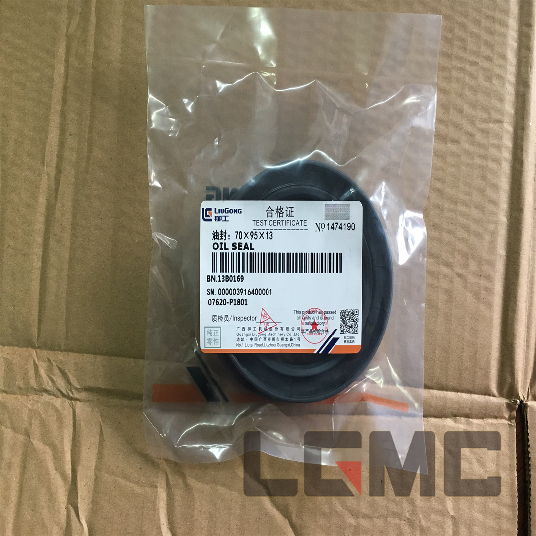 13B0169 Oil seal 70 x 95 x 13
