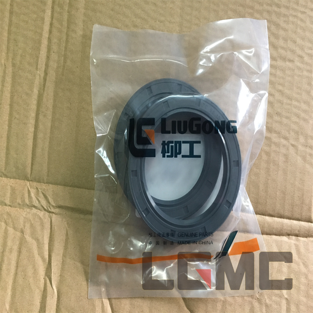 13B0169 Oil seal 70 x 95 x 13