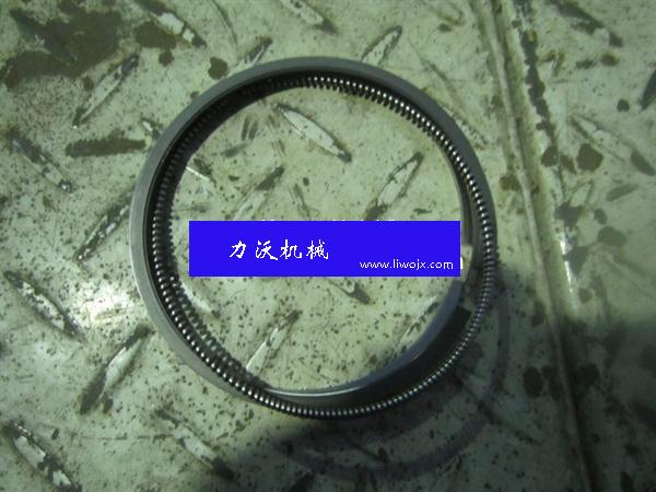 6205312300 SP109163 Piston Ring